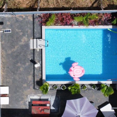 Tropical Appartement 파라마리보 외부 사진